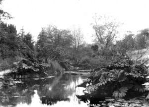 The Lake, Phoenix Park, Dublin