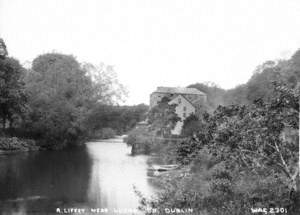 R. Liffey near Lucan, Co. Dublin