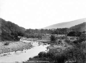 Gorge of Dodder, Bohernabreene