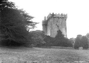 Blarney Castle, Co. Cork