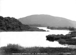 Inchageela Lower Lake on R. Lee, Co. Cork