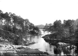 Poul-Na-Gorm, Glengarriff, Co. Cork