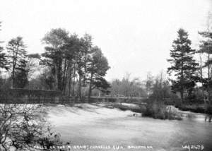 Falls on the R. Braid, Currels Glen, Ballymena