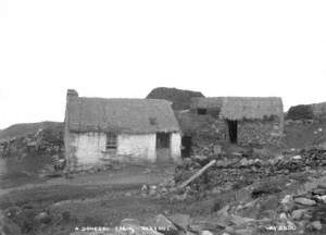 A Donegal Cabin, Rosguil