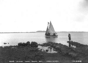 Ram's Island from Sandy Bay, Lough Neagh