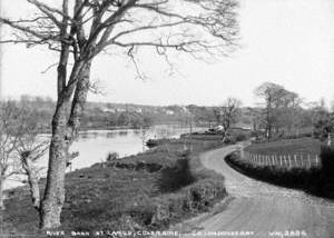 River Bann at Camus, Coleraine, Co. Londonderry