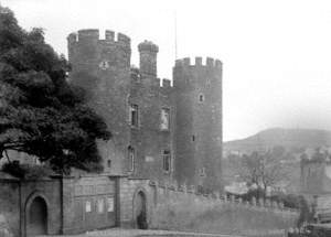 Enniscorthy Castle, Co. Wexford