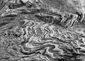 Contorted Schists, Rossapena, North West Donegal