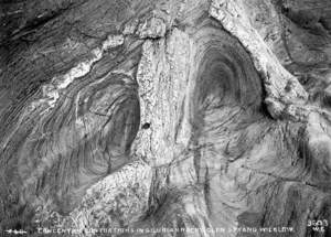 Concentric Contortions in Silurian Rocks, Glen Strand, Wicklow