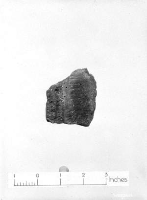 Untitled (a view of a fragment of pottery)