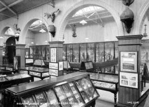 Belfast Public Museum, Grainger Room
