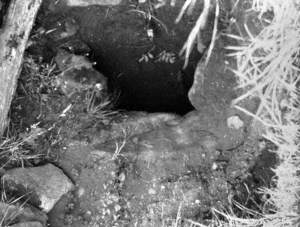 Untitled (a poor view of a Souterrain in Muckamore)