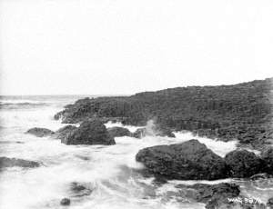 Untitled (a view of the Giant's Causeway, at the sea)