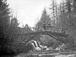 Untitled (a view of a rustic wooden bridge over a river and two men on it, unsharp, taken in April 1908)