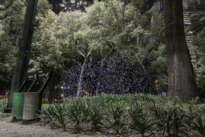 Chapultepec Park – PM2.5 10 – 20 micrograms per cubic meter