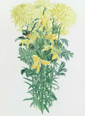 Chrysanthemum Composition