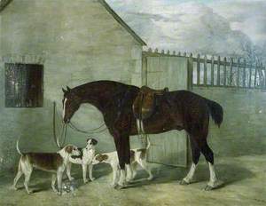 Portrait of Hunter 'Magpie' and Dogs