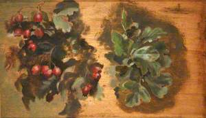 Studies of Hawthorn Berries and Leaves