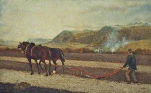 Ploughing, Valley of the Conway