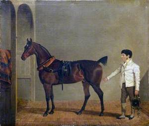 A Harnessed Carriage Horse, with a Groom, in a Stable