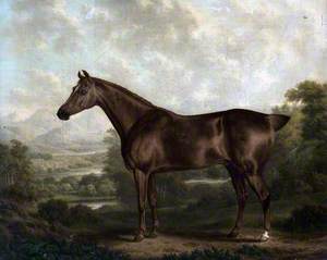 A Chestnut Horse in a Landscape