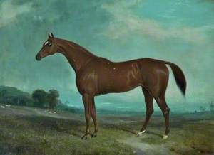 A Brown Thoroughbred in a Landscape