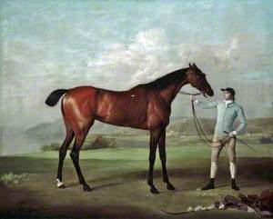 'Molly Long-Legs' with Her Jockey