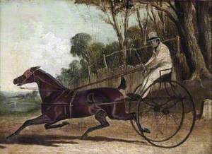 'Rattler', a Trotting Horse, Harnessed to a Buggy
