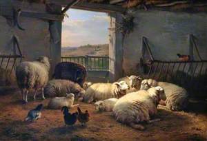 Sheep and Hens in a Barn