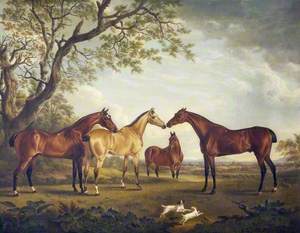 Four Horses in a Landscape