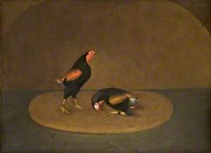 Lord Sefton's Black Breasted Reds after a Fight