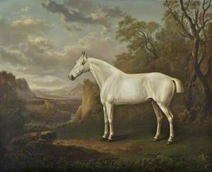 Grey Horse in a Landscape