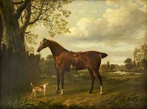 Saddled Bay Horse, and Terrier in a Landscape