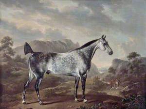 Dappled Grey Horse in a Landscape
