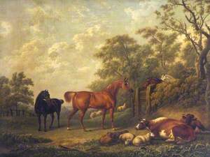 Chestnut and Black Racehorses with Cattle in a Field
