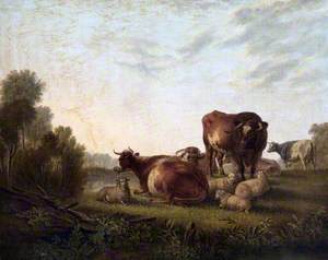 Cattle and Sheep in a Pasture