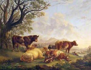 Bull and Cattle and Herdsman Resting in Valley Pasture
