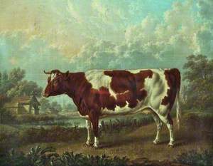 Prize Cow in a Landscape