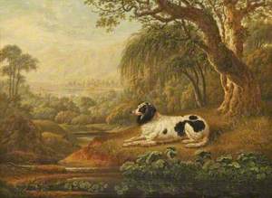 Black and White Spaniel in a Landscape