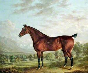 Bay Horse in a Landscape with Farm Buildings