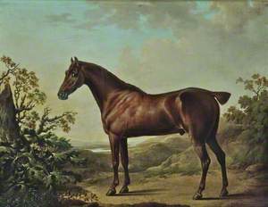 Brown Horse in a Landscape