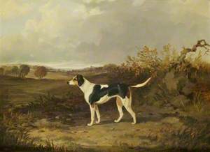 Foxhound in a Landscape