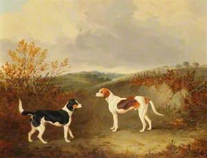 Two Foxhounds in a Landscape