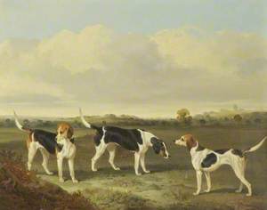 Three Foxhounds in a Landscape