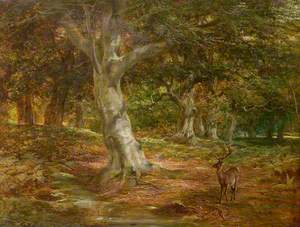 Forest Scene with Deer