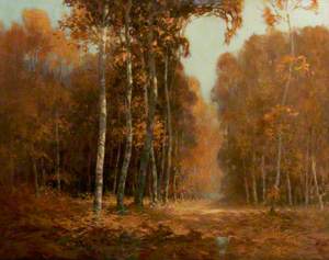 Early Autumn, Sherwood Forest, Nottinghamshire
