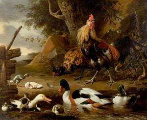 Two Fowls and Ducks on a Pond