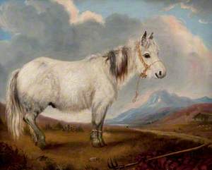 White Pony in a Landscape