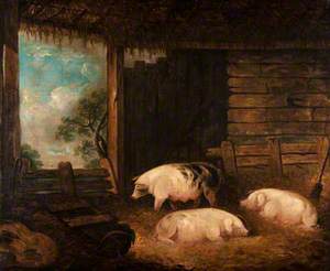 Three Pigs in a Byre