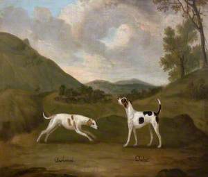 Late-Compton's 'Dashwood' and 'Dulcet', a Pair of Hounds